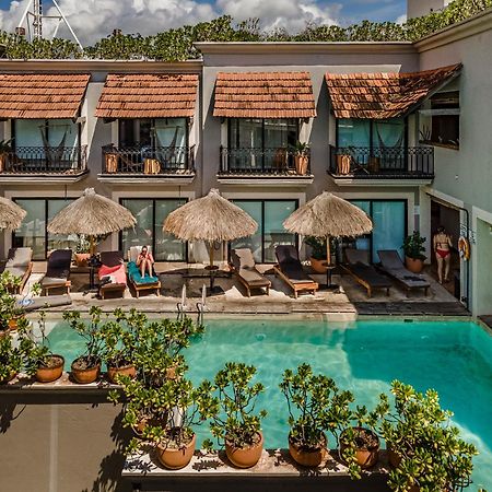 Caribbean Paradise Hotel & Spa - 5Th Avenue Playa del Carmen Exterior foto