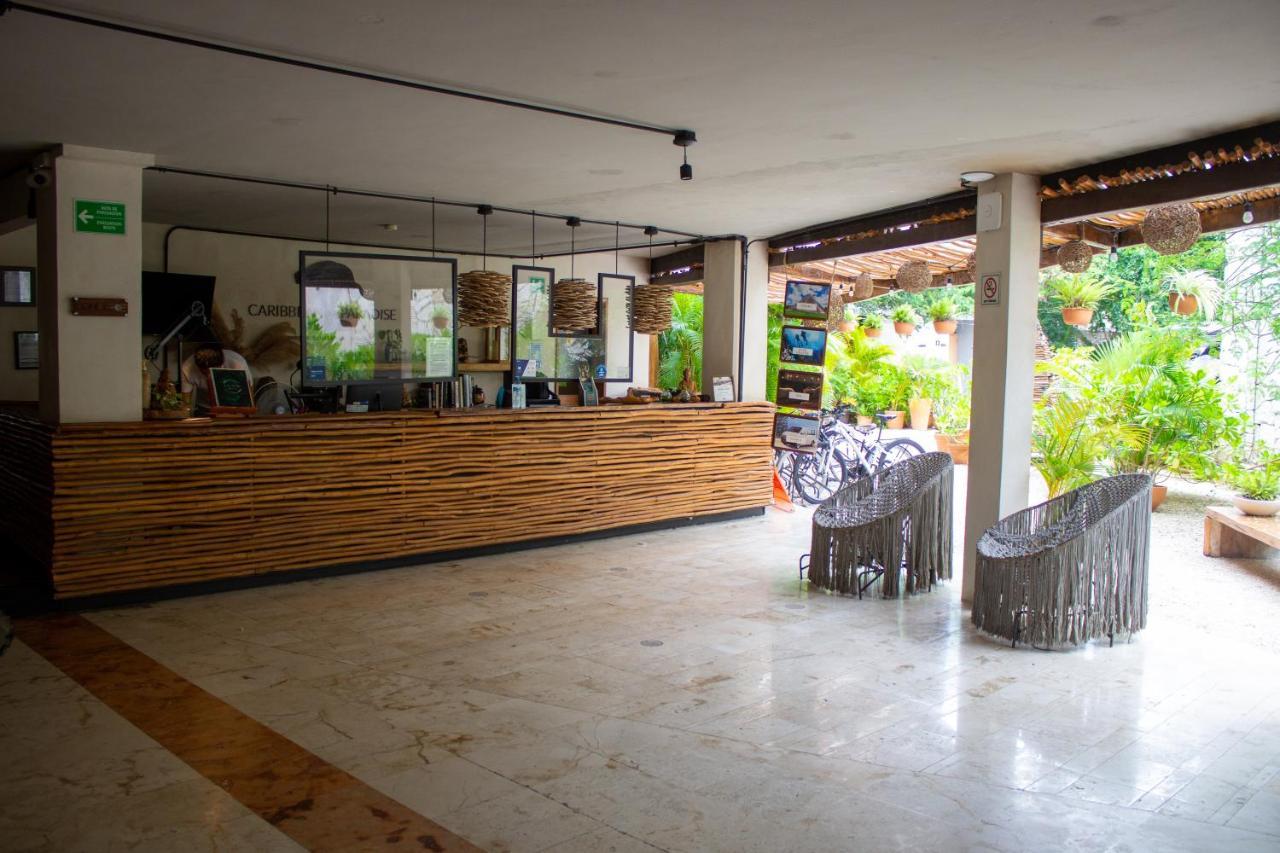 Caribbean Paradise Hotel & Spa - 5Th Avenue Playa del Carmen Exterior foto